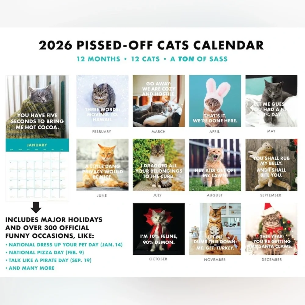 Pissed-Off Cats 2026 Calendar - Large 11x22 Size